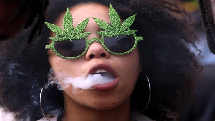 Crafting a Summer Bucket List: Unique Cannabis Experiences to Try in Mississauga