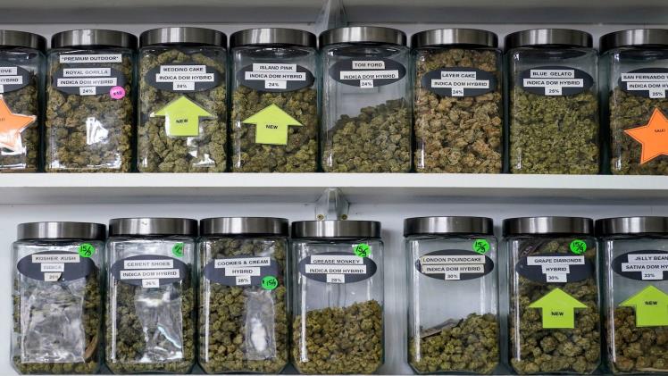 Discover the Unique Wellness Experiences Offered by Local Dispensaries 