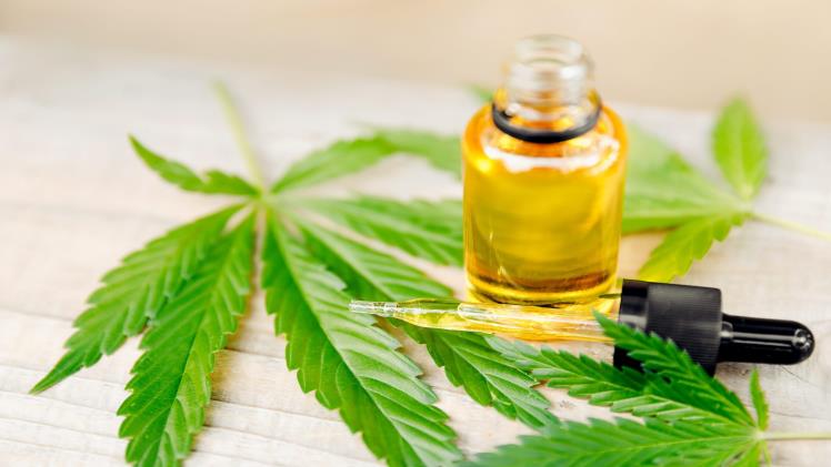 The Role of Cannabis Tinctures in Mindful Meditation Practices